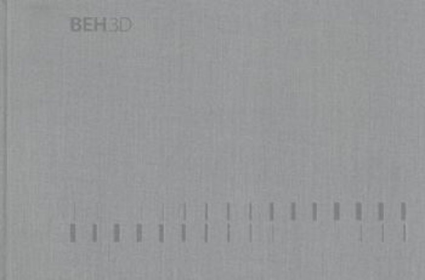 BEH 3D
