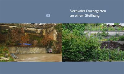 Wege zum Naturgarten