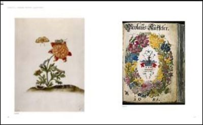 Maria Sibylla Merian